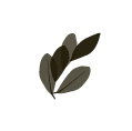 Laurel Leaves
